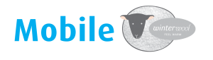 Strech-Mobile-Winter